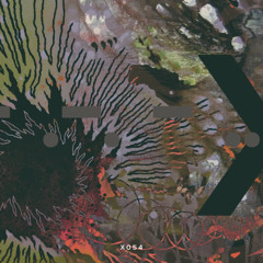 Pedro Capelossi & Aeikus - Chasing Moments (ARTSX054)