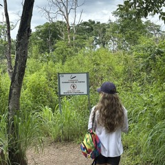 clara clarinha clareou o clarão de maria