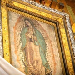 Reportaje la Guadalupana