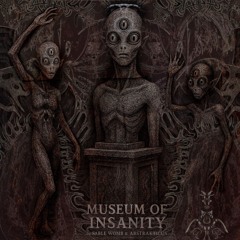 Sable Womb & Abstrakticus - Museum of insanity 300