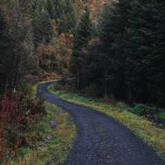 llewyrch