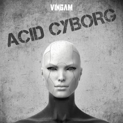 VINGAM - Acid Cyborg