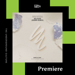 PREMIERE: Echolocation & Jordan Whitlock - Delicate (REBRN Remix [There Is A Light Explorations]