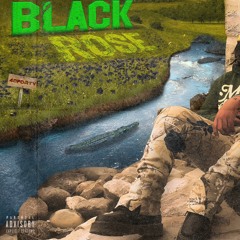 Black Rose.