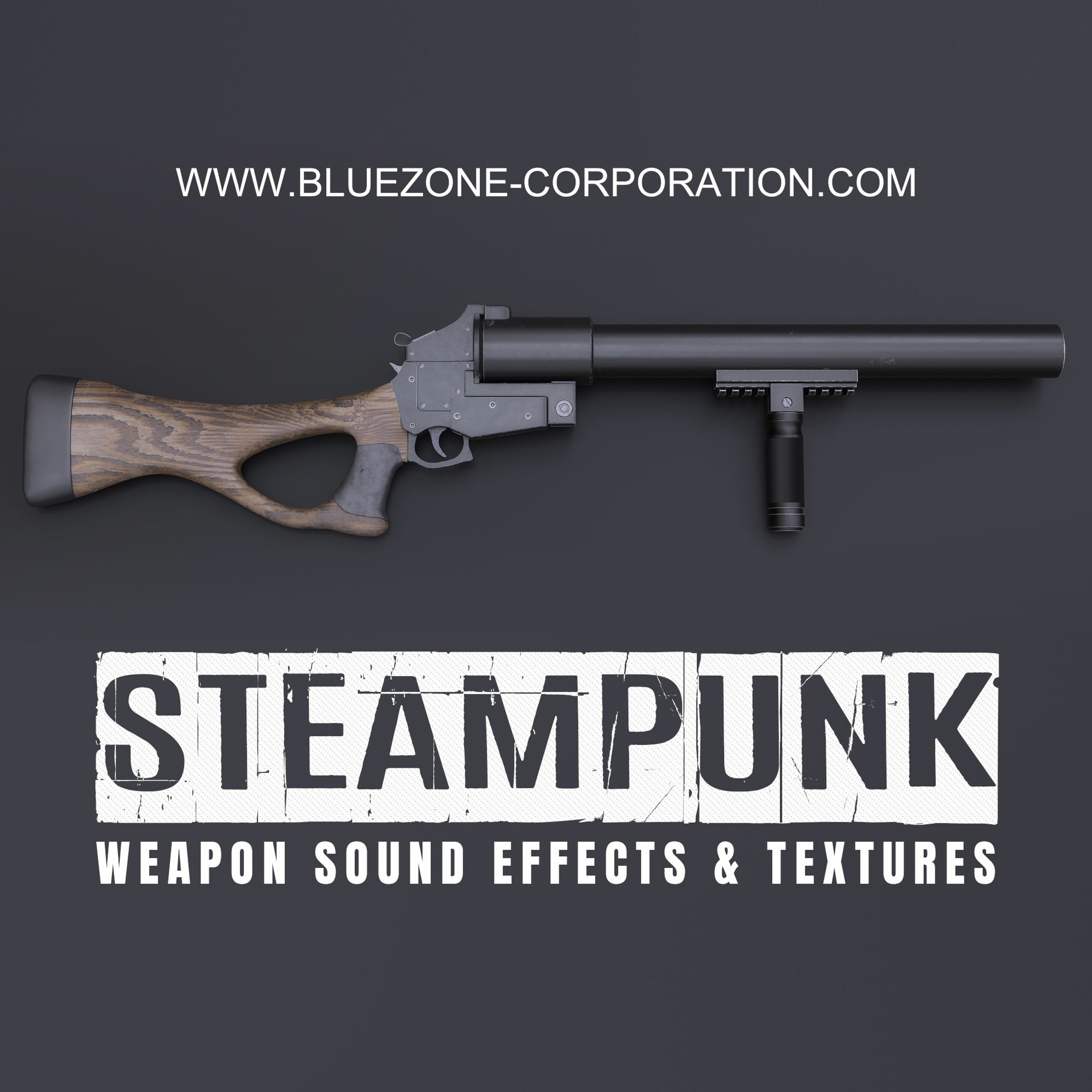 Bluezone Corporation