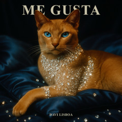 Davi Lisboa - Me Gusta