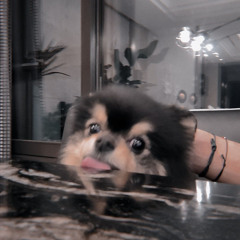 𝒕𝒙𝒕 - 𝒎𝒂𝒈𝒊𝒄 - 𝒔𝒑𝒆𝒅 𝒖𝒑