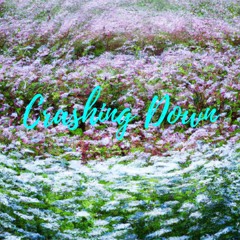 Crashing Down (feat. 502Bryce)