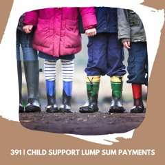 391 | Child Support Lump Sum Payments
