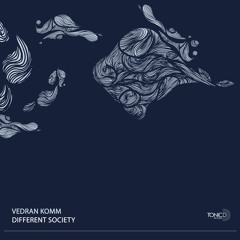 TDR158 - Vedran Komm - Different Society EP