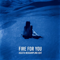 Cannons - Fire For You (Asceta Neosampling Edit) [2025]