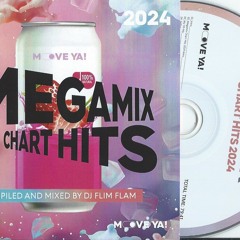 Megamix Chart Hits 2024 (Compiled and Mixed by Flim Flam)