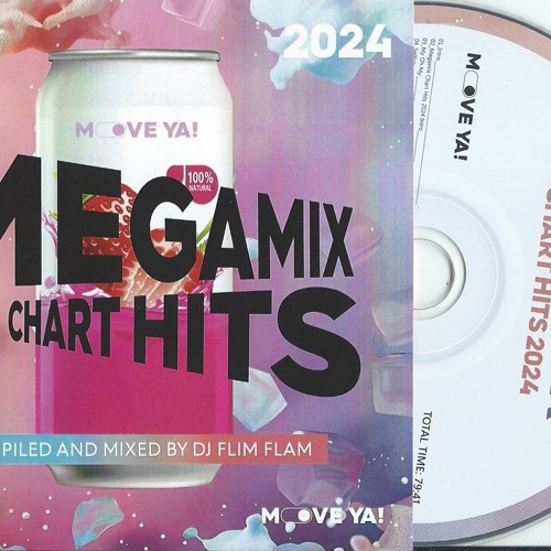 Megamix Chart Hits 2024 (Compiled and Mixed by Flim Flam)