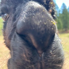 ordinary kid (prod. racky)