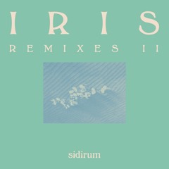 DC Promo Tracks: Sidirum "Ex-Plane" (Eddie C Remix)