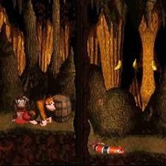 Donkey Kong Country Sampled Beat!