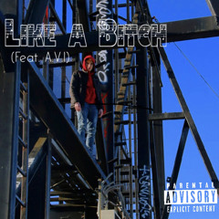 Like a Bitch (feat. A.V.I)