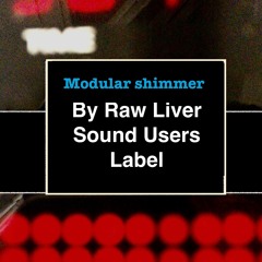 Modular Shimmer By Raw Liver