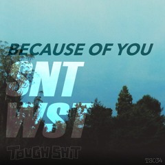 SNT WST - Because Of You (Free Download)