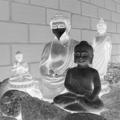 Buddhas Armee Fraktion (reborn thru love)