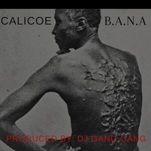 B.A.N.A - Calicoe