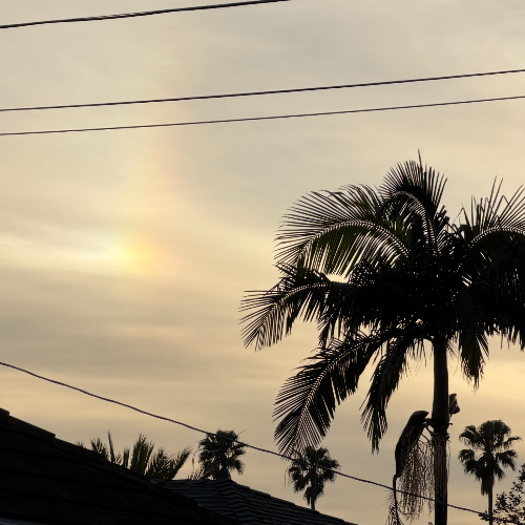 luv feels like artwork