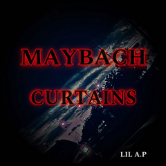 Maybach Curtains