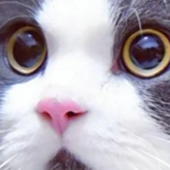 COMING SOON [v1, bad version]