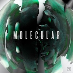 Molecular - Culture EP