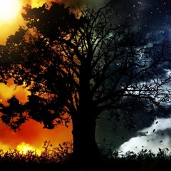 Polarized