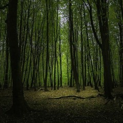 Shades of Twilight (2022) for violin, bass-clarinet, and piano