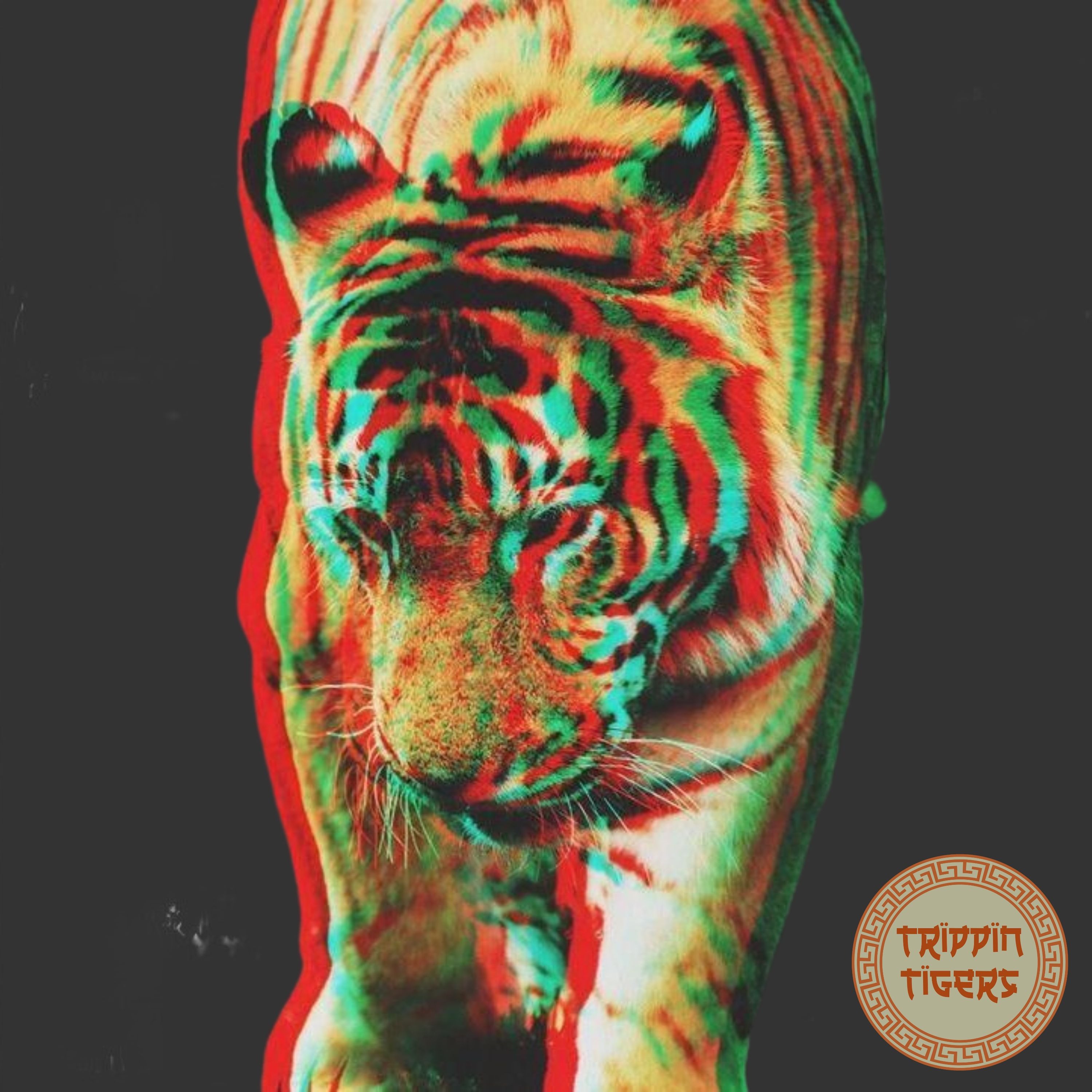 Underyourskin Records Feed