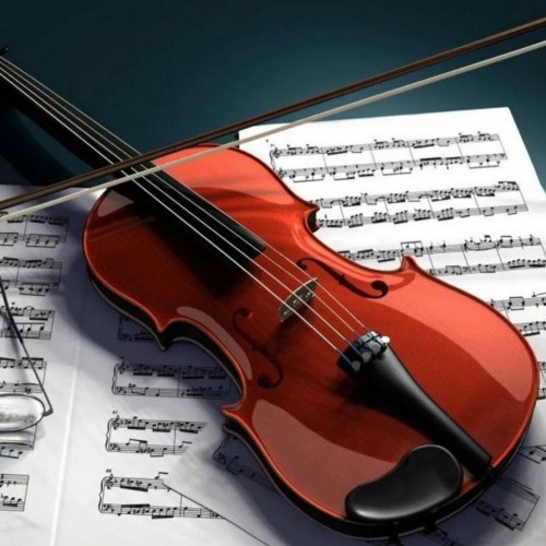 محضر background loop DOWNLOAD