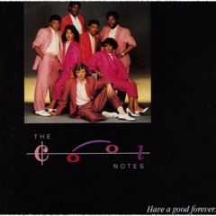 I Don't Wanna Stop Extended Dance Mix Djloops (1985)
