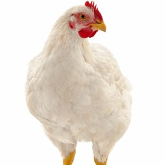 ken carson - aint trippin remastered (slowed)