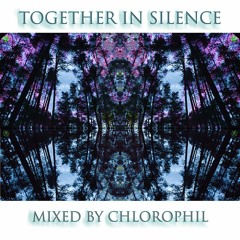Together In Silence