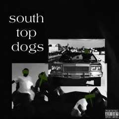 south top dogs