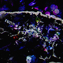 Turn on the Lights // Dusk (bradford Edit)