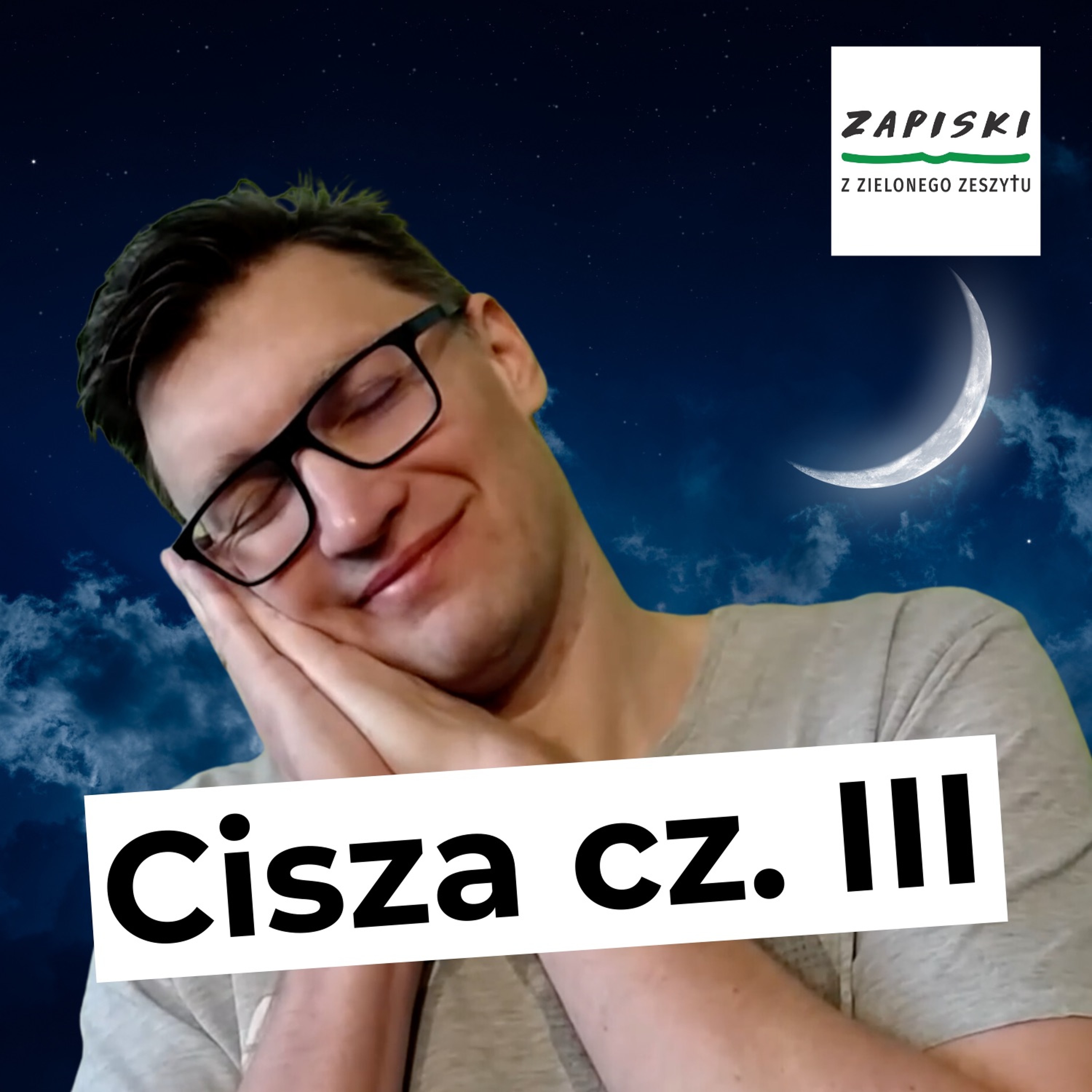 Zapiski z zielonego zeszytu