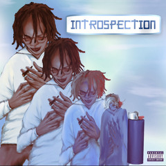introspection (drakomade + 4head)