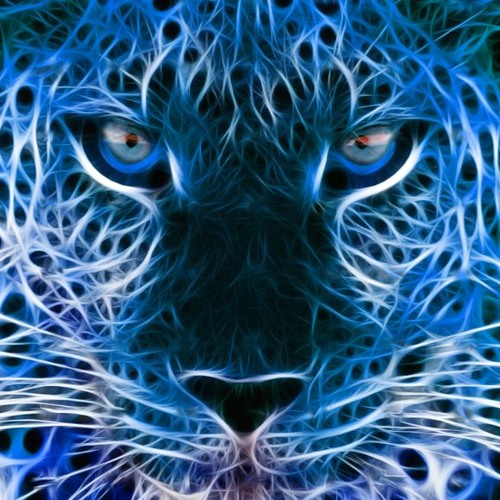 Matt Bogard - Piano House 2 - July 2021