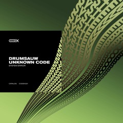 Drumsauw, Unknown Code - System Error (Original Mix)