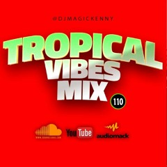 Tropical Vibes Mixtape 110 | Caribbean Mix 2022 [Afro-Dancehall ,Latin ,Soca]