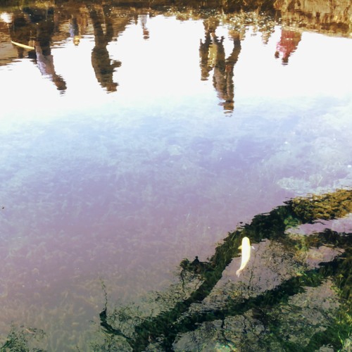 reflections [C2TCC]