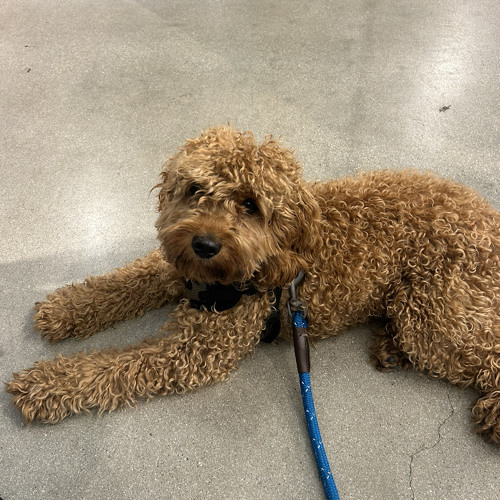 skaiwater - real feel (SAMUGO DnB flip)