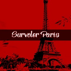 SURVOLER PARIS