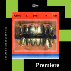 PREMIERE: Bouzidi - Please Don't Cry [Ritmo Futuro]