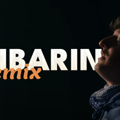 Tream - Die Nachbarin (Remix)
