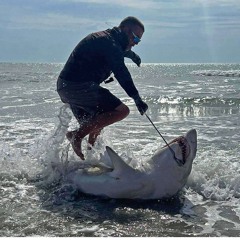 JUST GOT DAT BULLSHARK IN DAYTONA.mp3
