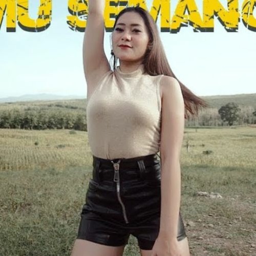 Vita Alvia - Dj Bojomu Semangatku (Official Music Video ANEKA SAFARI)